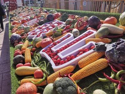 銀川農(nóng)產(chǎn)品 綠色發(fā)展的豐收畫卷