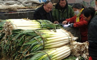 農(nóng)產(chǎn)品“綠色通道”廣受歡迎，助力鄉(xiāng)村振興與民生保障