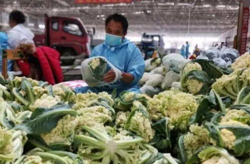 新疆九鼎市場(chǎng) 日銷5500噸果蔬與鮮活水產(chǎn)品，托穩(wěn)西北“菜籃子”