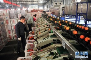 延伸農(nóng)產(chǎn)品產(chǎn)業(yè)鏈，鮮活水產(chǎn)品為鄉(xiāng)村振興展新貌